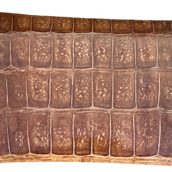 Genuine Alligator clutch envelope purse - Picture 6 of 7